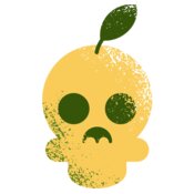 Elements Skulls logo template 130