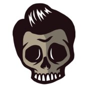 Elements Skulls logo template 136