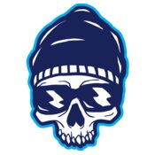 Elements Skulls logo template 137