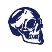 Elements Skulls logo template 139