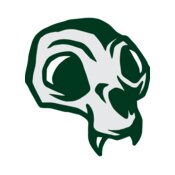 Elements Skulls logo template 144