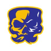 Elements Skulls logo template 151