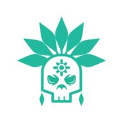 Elements Skulls logo template 157